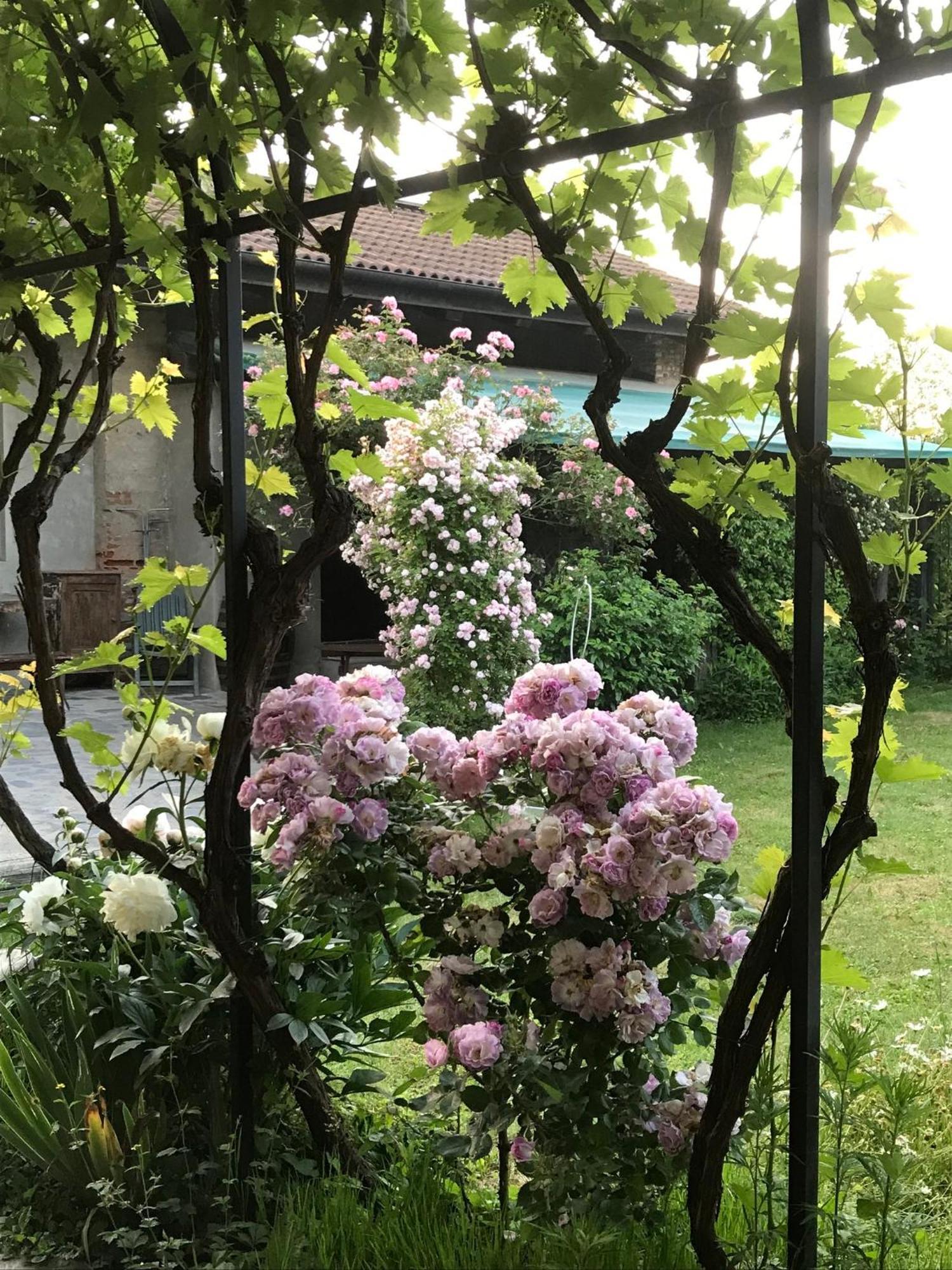 B&B Cascina Marie Bricherasio Екстериор снимка